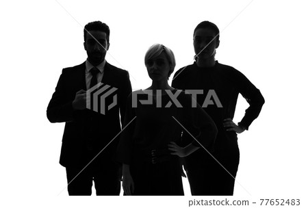 Multinational business group silhouette 77652483