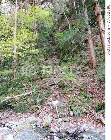 Wado Ruins Open Mining Site 77652896