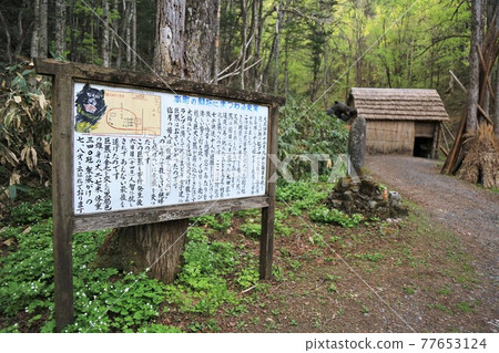Sankebetsuki事件的恢復現場（北海道都江町） 77653124
