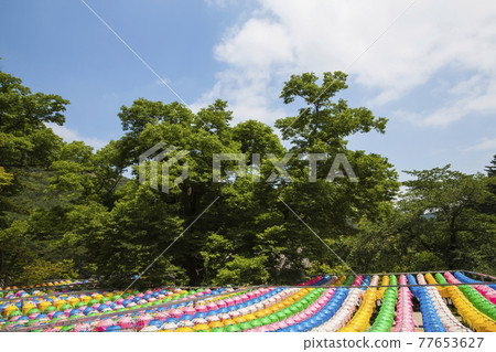 Lanterns at Naeso Temple in Buan-gun, Jeollabuk-do Lanterns at Naeso Temple in Buan-gun, Jeollabuk-do 77653627