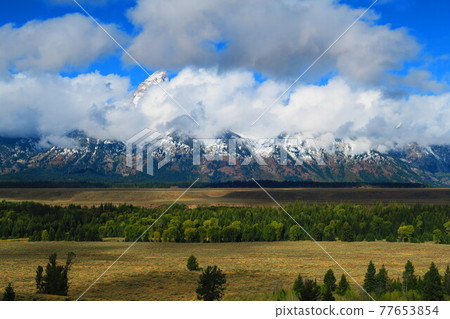 Grand Teton National Park Grand Teton National Park 77653854