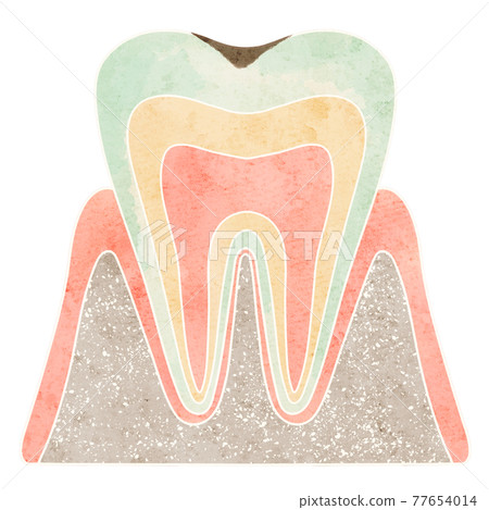 Cross section of cavities (C1) 77654014