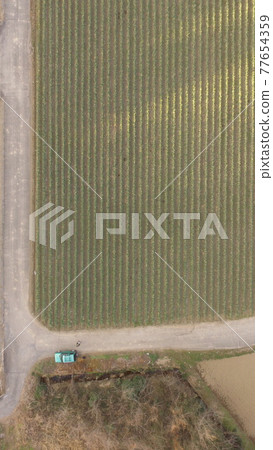 農田(埼玉縣大里郡Yoriicho) 農田(埼玉縣大里郡Yoriicho) 77654359