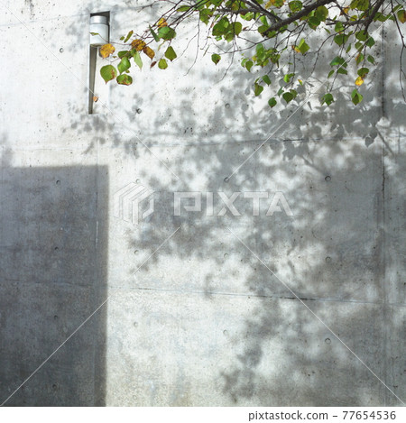 Sunbeams reflected in the exposed concrete wall 77654536