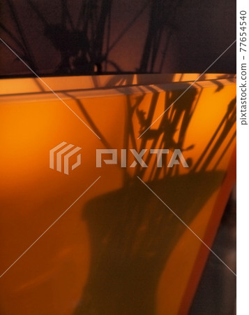 The shadow of a vase with cut flowers reflected in the notebook 77654540