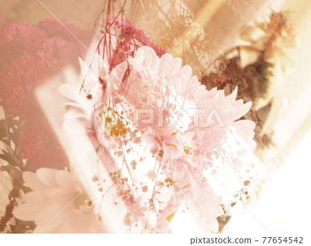 Fantastic composite photo of flowers and mirrors 77654542