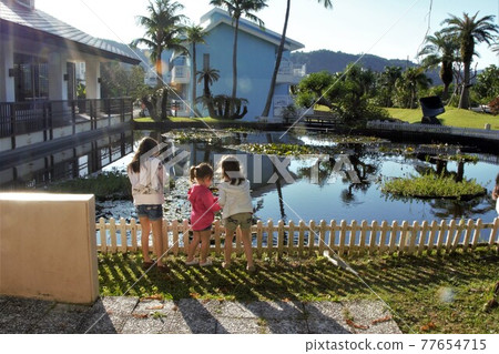 Three sisters of a private resort hotel Three sisters of a private resort hotel 77654715