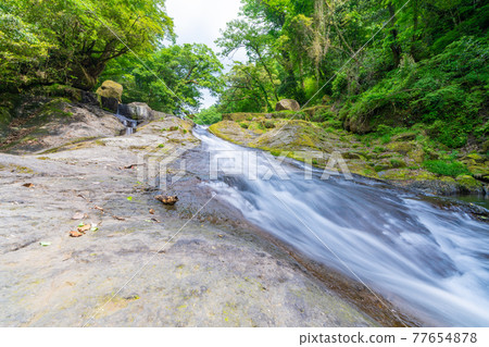 Kikuchi Gorge, Kumamoto Prefecture, upstream of Kikuchi River Kikuchi Gorge, Kumamoto Prefecture, upstream of Kikuchi River 77654878