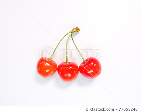 Cherry cherry 77655246