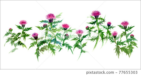 薊 薊 77655303