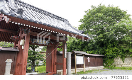 神奈川縣橫濱市金澤區古寺院鎌倉幕府的掌管人北條先生的名寺菖蒲。 神奈川縣橫濱市金澤區古寺院鎌倉幕府的掌管人北條先生的名寺菖蒲。 77655331