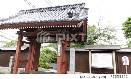 The irises of a famous temple related to Mr. Hojo, who is in charge of the Kamakura Shogunate, an ancient and famous temple in Kanazawa Ward, Yokohama City, Kanagawa Prefecture. The irises of a famous temple related to Mr. Hojo, who is in charge of the Kamakura Shogunate, an ancient and famous temple in Kanazawa Ward, Yokohama City, Kanagawa Prefecture. 77655332