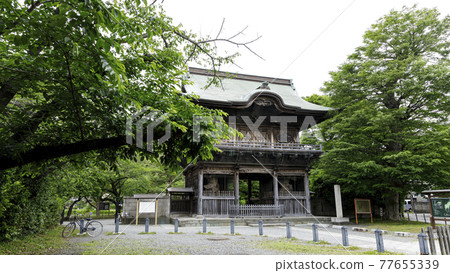 神奈川縣橫濱市金澤區古寺院鎌倉幕府的掌管人北條先生的名寺菖蒲。 神奈川縣橫濱市金澤區古寺院鎌倉幕府的掌管人北條先生的名寺菖蒲。 77655339