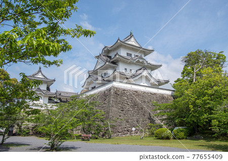 Fresh green Ueno Castle [Iga City, Mie Prefecture] 77655409