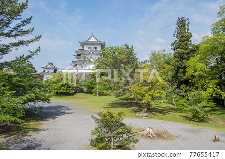 Fresh green Ueno Castle [Iga City, Mie Prefecture] 77655417