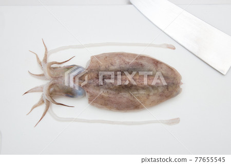 墨魚和菜刀如何處理的圖片 墨魚和菜刀如何處理的圖片 77655545