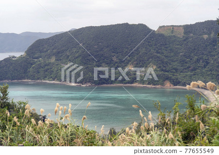可以看到奄美大島中心的風景 77655549