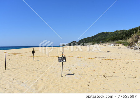 Nagata Rina Beach 77655697