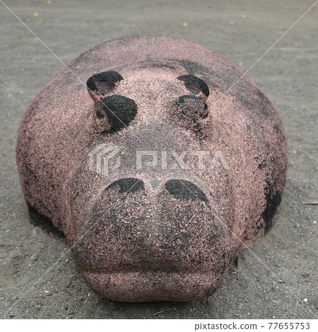 河馬混凝土玩具套裝 河馬混凝土玩具套裝 77655753