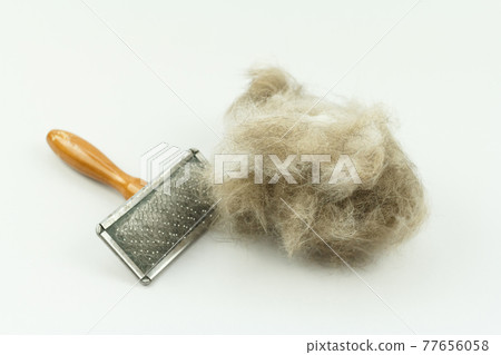 Cat brush with cat hair clump isolated on white, Long hair cat maintenance Cat brush with cat hair clump isolated on white, Long hair cat maintenance 77656058