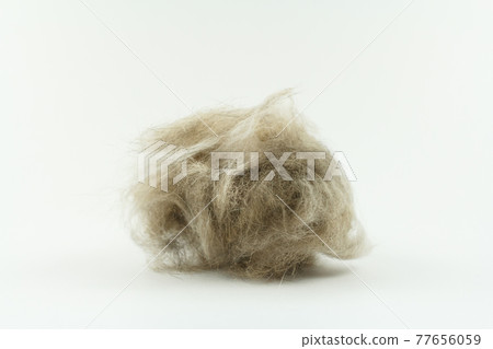 cat hair clump isolated on white, Long hair cat maintenance cat hair clump isolated on white, Long hair cat maintenance 77656059