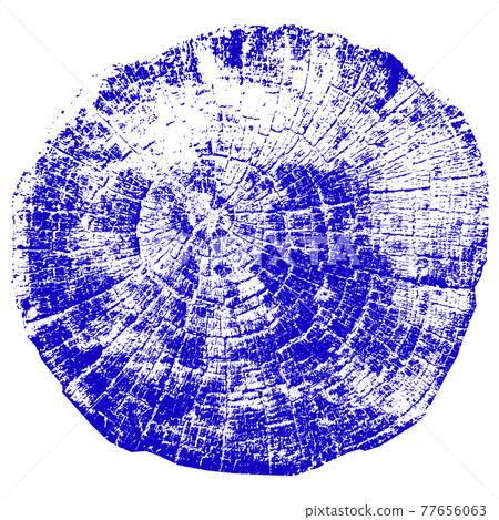 Tree growth rings. Natural cut wood. Vector illustration. 77656063