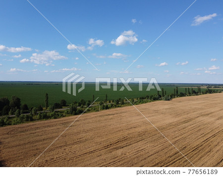 Ripe cereals on a farm field in summer, top view. Clear blue sky over the fields, landscape from a bird's eye view. Ripe cereals on a farm field in summer, top view. Clear blue sky over the fields, landscape from a bird's eye view. 77656189