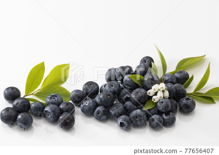 帶葉子的白色背景藍莓 帶葉子的白色背景藍莓 77656407