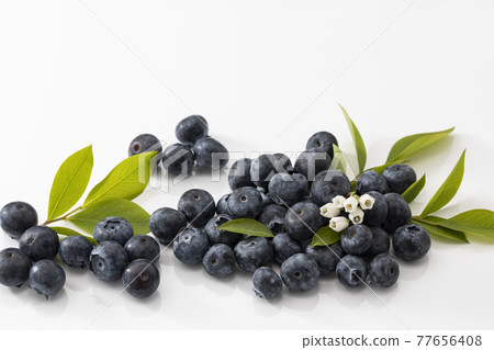帶葉子的白色背景藍莓 帶葉子的白色背景藍莓 77656408