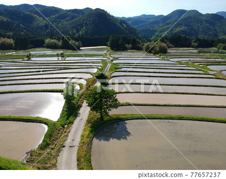 ≪Drone aerial photography, Koshihata, Koshihata, rice planting in Koshihata, Kyoto Prefecture≫ ≪Drone aerial photography, Koshihata, Koshihata, rice planting in Koshihata, Kyoto Prefecture≫ 77657237