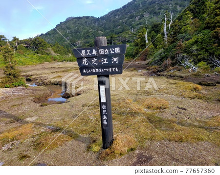 花賀敬之 77657360