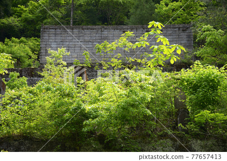 Tsuchikura Mine Ruins Nagahama City, Shiga Prefecture 77657413