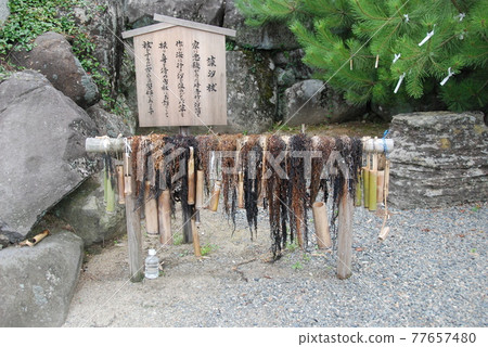 藻鹽（島根縣松江市鹿島町佐田神社/貞宮內） 77657480