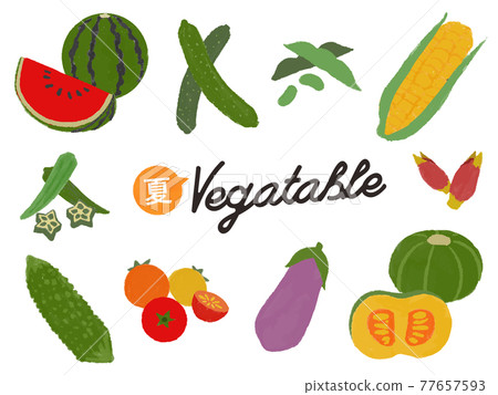 夏季蔬菜插圖集 77657593