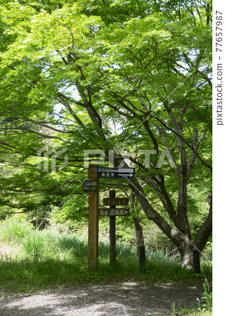 Ishimichi Temple, a guidepost to Toriashiji Temple, Nagahama City, Shiga Prefecture Ishimichi Temple, a guidepost to Toriashiji Temple, Nagahama City, Shiga Prefecture 77657987