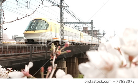 Ise Shima Liner and Sakura Ise Shima Liner and Sakura 77658072