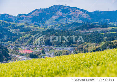 （靜岡縣）諏訪原城遺址附近的蘆岳茶信 77658154