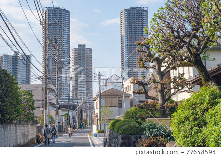 Cityscape Shinmaruko residential area and Musashi Kosugi tower apartments Nakahara Ward, Kawasaki City, Kanagawa Prefecture 77658593