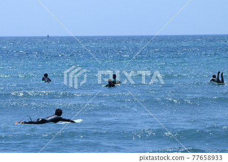 Surfers paddling Surfers paddling 77658933