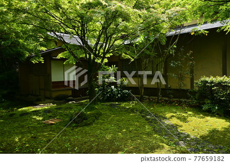Japanese-style room and moss in Gifu Castle Park 77659182