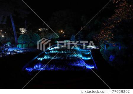 小田原城公園 77659202