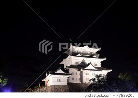 Odawara Castle Illuminated 77659203