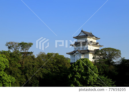Odawara Castle Odawara Castle 77659205