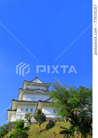 Odawara Castle Odawara Castle 77659207
