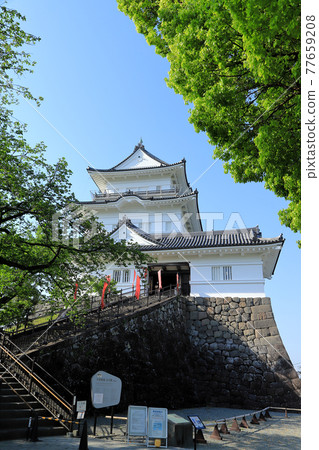 Odawara Castle Odawara Castle 77659208