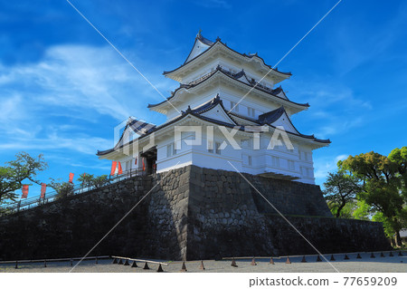 Odawara Castle Odawara Castle 77659209
