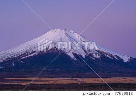 (Yamanashi Prefecture) Mt. Fuji and Lake Yamanaka illuminated by the moonlight (Yamanashi Prefecture) Mt. Fuji and Lake Yamanaka illuminated by the moonlight 77659818