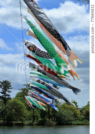 鯉魚旗 鯉魚旗 77660832