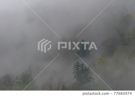 Mountain surface wrapped in fog Mountain surface wrapped in fog 77660974