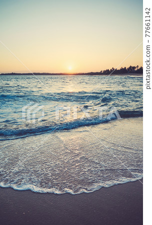 Color toned picture of a tropical beach at sunset. 77661142